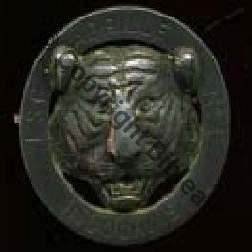 309  1eDRILLE INDO V571 ex V309 1eDRILLE OBSERVATION DU GMA 595  INDOCHINE Metal  Sc.A.CAMPO